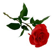 roza