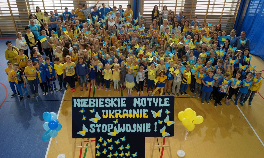 Niebieskie Motyle Ukrainie