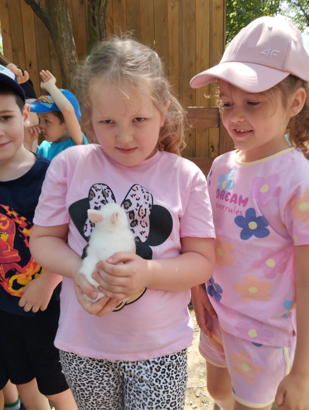 minizoo